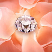 ○○○○○○○○イメージ